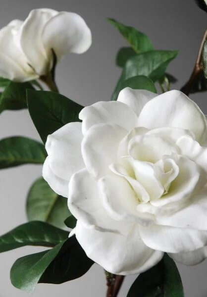 Silk Gardenia Stem White 31" 1 Silk Gardenia Stem White 31"