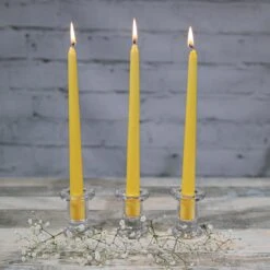 Richland Simple Glass Taper Candle Holder Set Of 72 8 Richland Simple Glass Taper Candle Holder Set Of 72 -Comme Des Garcons Store tapers3 4ed7041b be32 4325 96dc a129cb0123e2