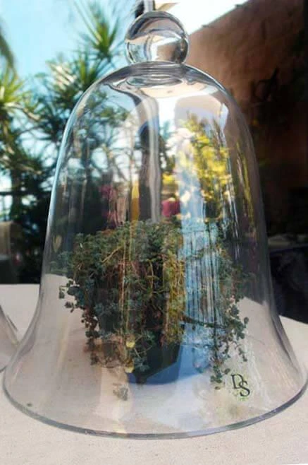 Thick Glass Bell Jar 11.5" 2 Thick Glass Bell Jar 11.5" - Image 2