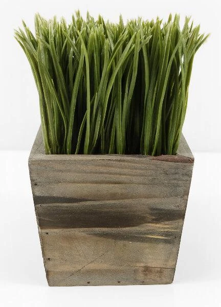 Wood Planter Box Grass Display 7in 1 Wood Planter Box Grass Display 7in