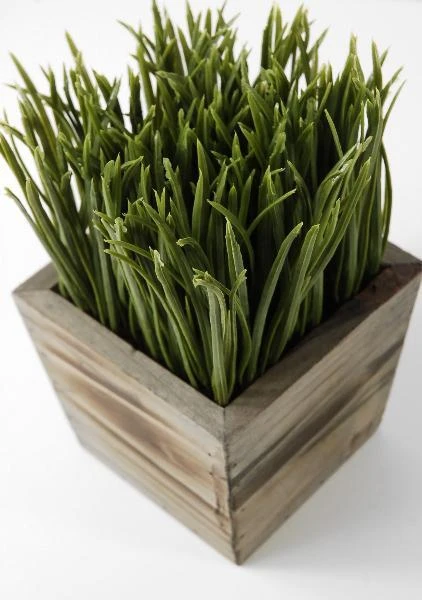 Wood Planter Box Grass Display 7in 2 Wood Planter Box Grass Display 7in - Image 2